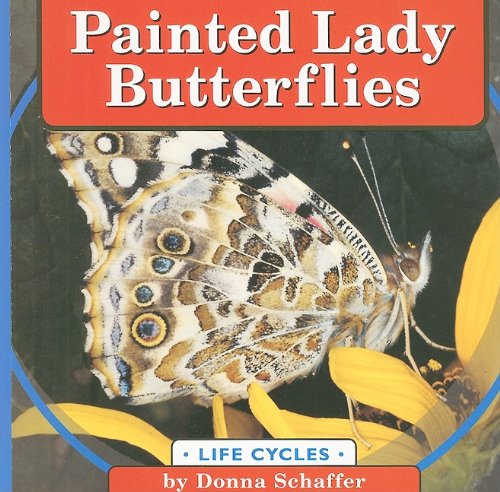 Painted Lady Butterflies (Life Cycles (QEB Publishing))