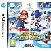Mario & Sonic at the Olympic Winter Games (Nintendo DS)