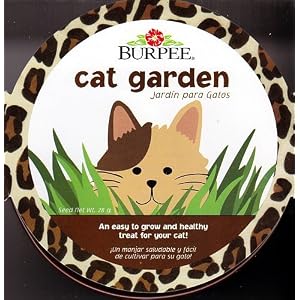 Burpee Cat Garden by 