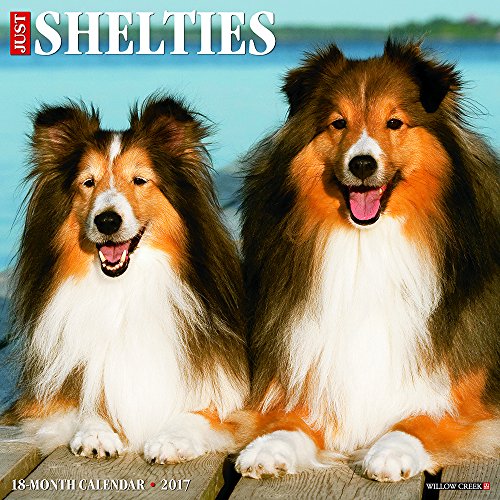 Just Shelties 2017 Wall Calendar