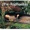 Pre-Raphaelite