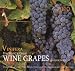 Vinifera 2010 Wall Calendar: The World's Great Wine Grapes and their Stories