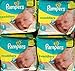 Pampers Swaddlers Diapers, Size 1, 20 Count Pack of 4 (Total of 80 Pampers)