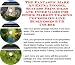 The Down and Dirty Earn More Money, Marketing and Inner Game for Stock Market Trading Courses On-line Businesses 3 CD Power Pack The Down and Dirty Earn More Money, Marketing and Inner Game for Stock Market Trading Courses On-line Businesses 3 CD Power Pack