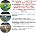 The Special Get More Biz, Godfather Principles and Sales Models for Baby Backpacks On-line Businesses 3 Course Pack