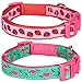 Blueberry Pet Essentials 10 Patterns Pink Flamingo on Light Emerald Adjustable Dog Collar, X-Small, Neck 7.5