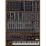Arturia Moog Modular V 2.0 Virtual Moog Modular Synthesizer Software
