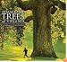 Remarkable Trees of Virginia