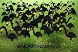 View Details for Garden Plast Black Flamingos, 50-Pack