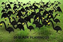 Garden Plast Black Flamingos, 50-Pack