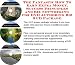 Book The Fantastic How To Earn Extra Money, Success Principles and Biz Networking for DVD Authoring Biz 3 CD Package
