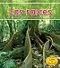 Book cover for 9781432941932