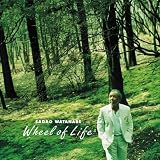 Wheel of Life