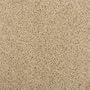 Milliken 4000020536 Legato Touch Carpet Tile in Seadunes