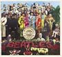 Sgt. Peppers Lonely Hearts Club Band-The Beatles 2008 Calendar