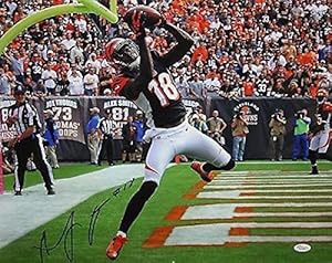 Signed A.J. Green Photograph - AJ 16x20 Touchdown Catch W - JSA Certified - Autographed NFL Photos