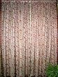Curtain Indian Sari-2 Orange-red Floral Printed Panel Decorative Drapery Window Treatment 84 Inches