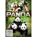 Der gro�e Panda