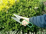 Traditional Trimming Shears, ideal for precision cutting (488)