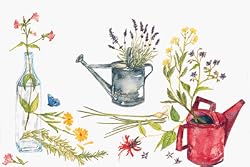 Herb Harvest - Fresh, Original Design on a Pure Cotton Kitchen Towel