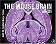 The Mouse Brain in Stereotaxic Coordinates, Third Edition (Book & CD Rom) (Book & CD Rom)