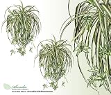 TWO 28" Spider Artificial Hanging Bushes with Babies