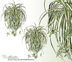 TWO 28" Spider Artificial Hanging Bushes with Babies