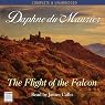 The Flight of the Falcon