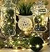 Kohree 100 Micro Christmas String Lights on 33 Feet Copper Wire, Seasonal Decor Rope Lights for Festival, Christmas, Wedding, Holiday and Party with UL Certified 3.5V Power Adapter Warm White