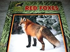 Red Foxes (Wild Dogs) Victor Gentle