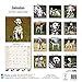 Dalmatian Calendar - Only Dog Breed Dalmatian Calendar - 2016 Wall calendars - Dog Calendars - Monthly Wall Calendar by Avonside