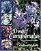Dwarf Campanulas: And Associated Genera