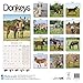 Donkeys Calendar - 2016 Wall calendars - Animal Calendar - Monthly Wall Calendar by Avonside