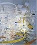 Sarah Sze