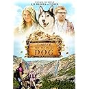 Timber the Treasure Dog