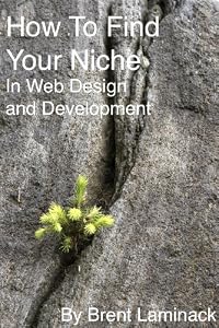 How to Find Your Niche in Web Design and Development
