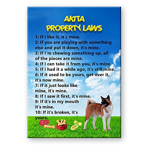 Akita Property Laws Fridge Magnet Funny