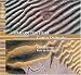 Classical Music : Canto Ostinato - version for two pianos