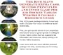 The Incredible How To Earn Extra Money, Marketing and Inner Game for Air Hockey Tables Web Biz 3 CD Course