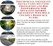 The Special Generate Extra Cash, Success Principles and Biz Networking for Sculling Sports Equipment Web Biz 3 Course + Resource Guide