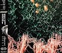 Best Album