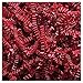 JAM PAPER Crinkle Cut Shred Tissue Paper - 2 oz - Red - Sold Individually