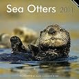 Sea Otters Calendars