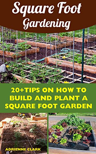 Square Foot Gardening: 20+Tips On How To Build and Plant A Square Foot Garden