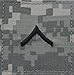 Authentic Military Rank Insignia US Made (Private - ACU)