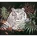 Acrylic Mink White Tiger Blanket