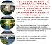 The Rich Man's How To Earn Extra Money, Marketing and Success Principles for Fitness Accessories Web Biz 3 Course + Resource Guide