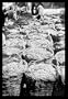 Buyenlarge 19566-5CG12 Baskets of Wine Grapes at Richon Le Zion 12x18 Giclee on canvas