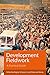 Development Fieldwork: A Practical Guide