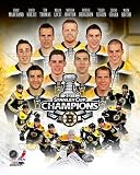 Boston Bruins 2011 NHL Stanley Cup Championship Composite Art Poster PRINT Unknown 8x10